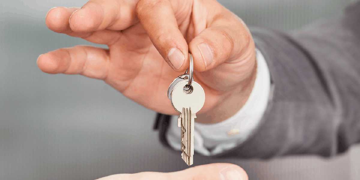 Check in & Check out